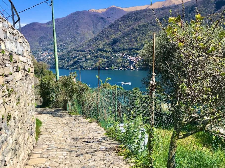 Romantic Home Stone With Amazing View Lake Of Como And Oleandra Лальйо Екстер'єр фото