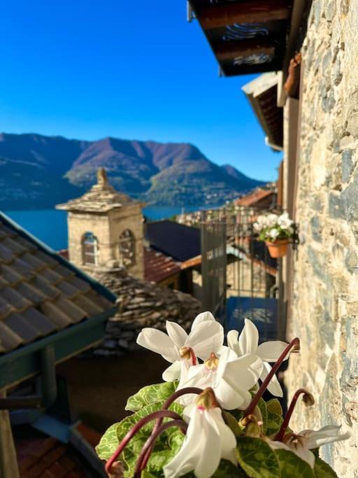 Romantic Home Stone With Amazing View Lake Of Como And Oleandra Лальйо Екстер'єр фото
